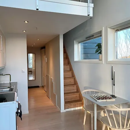 Apartment Penthouse In Center Stavanger