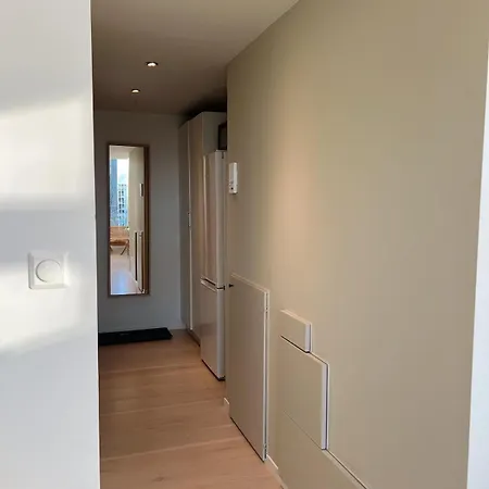 Penthouse In Center Apartment *