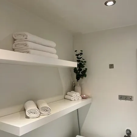 Penthouse In Center *