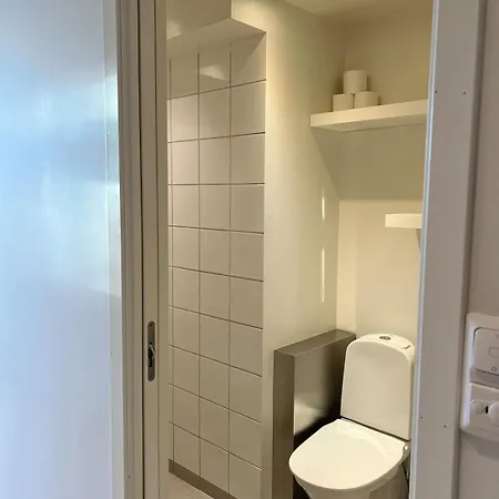 Апартаменты Penthouse In Center