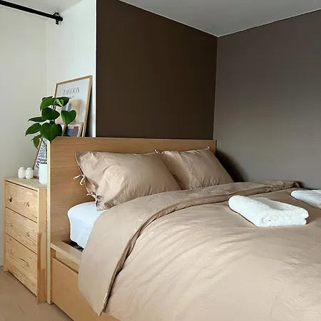 Penthouse In Center *