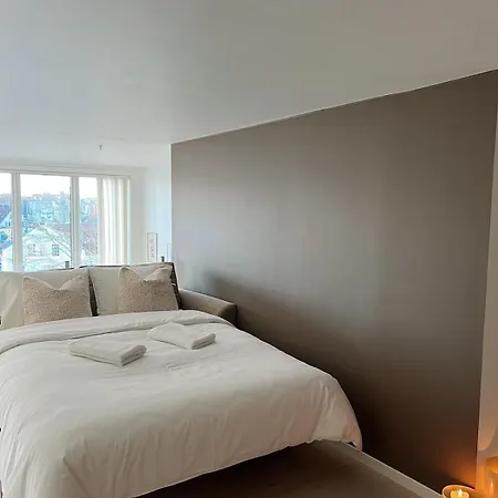 Апартаменты Penthouse In Center *