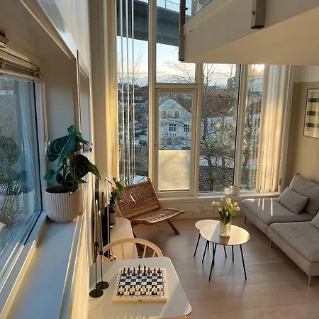 Apartment Penthouse In Center Stavanger